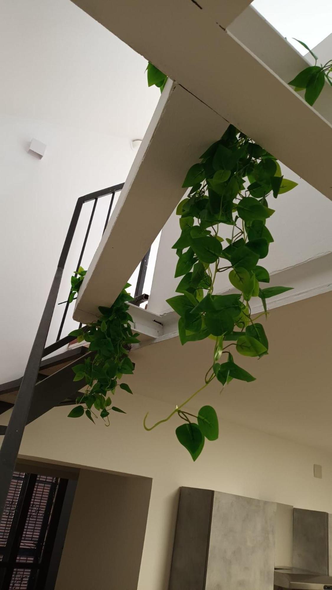 Apartamento Casa N 1 Con Parcheggio Privato E Colonnina Ricarica Livorno Exterior foto